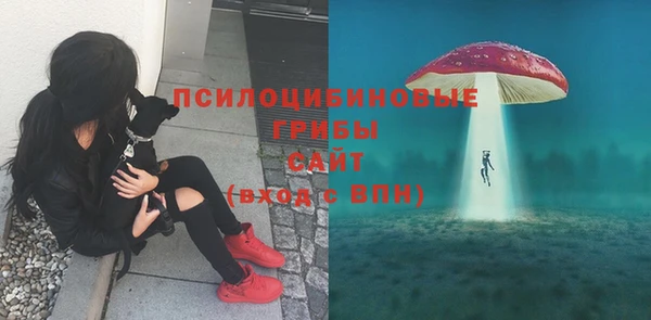 герыч Горнозаводск