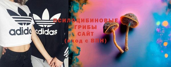 соль курить ск Горняк