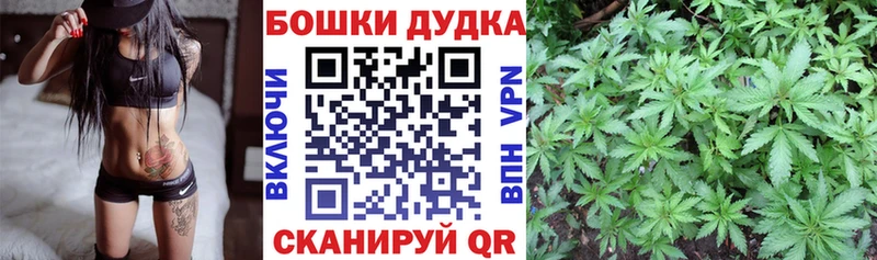 Марихуана конопля  Купить где  Кириллов 